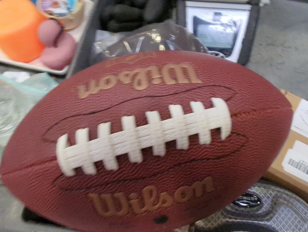 Wilson NFL Ignition Football