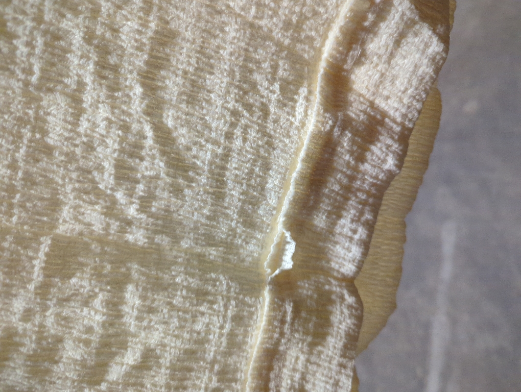 Size Large Womens V Neck Bell Sleeve Asymmetrical High Low Tops Casual Chiffon V Neck 3/4 Sleeve Blouse Flowy Tops