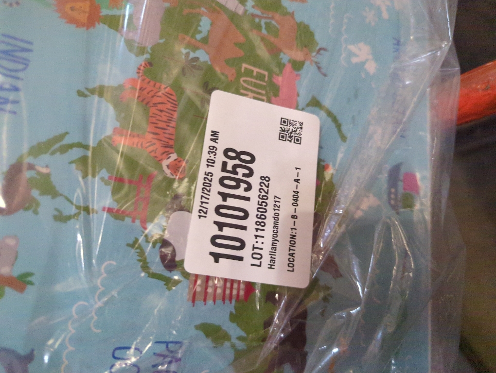 Stupell Industries Kid's Animal World Map Favorite Regional Wildlife, Designed by Lisa Whitebutton Canvas Wall Art, 16x20, Blue