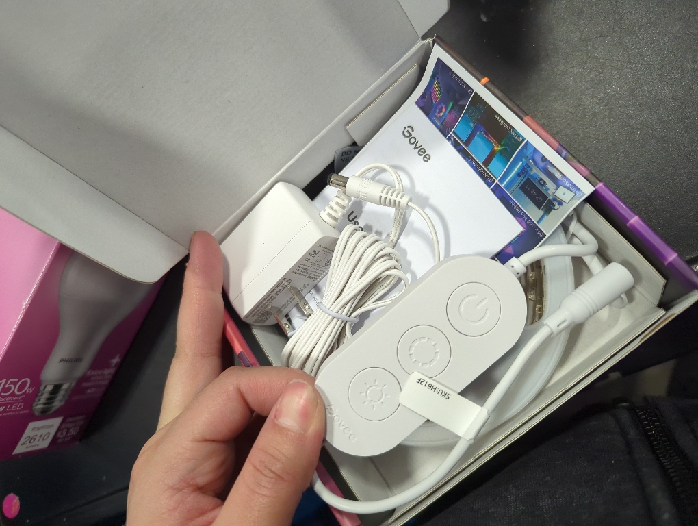 RGBICW 9.8 ft. Smart Plug-in Dimmable Uncuttable Color-Changing Integrated LED Strip Light (1-Pack)