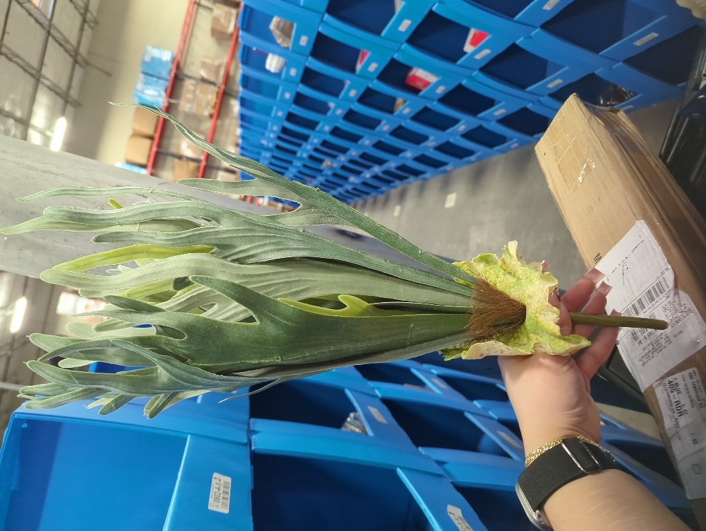 Asuka Artificial Flower Stag Horn Green Total Length: Approx. 21.7 inches (55 cm), Width: Approx. 23.6 inches (60 cm), A-44125-051A