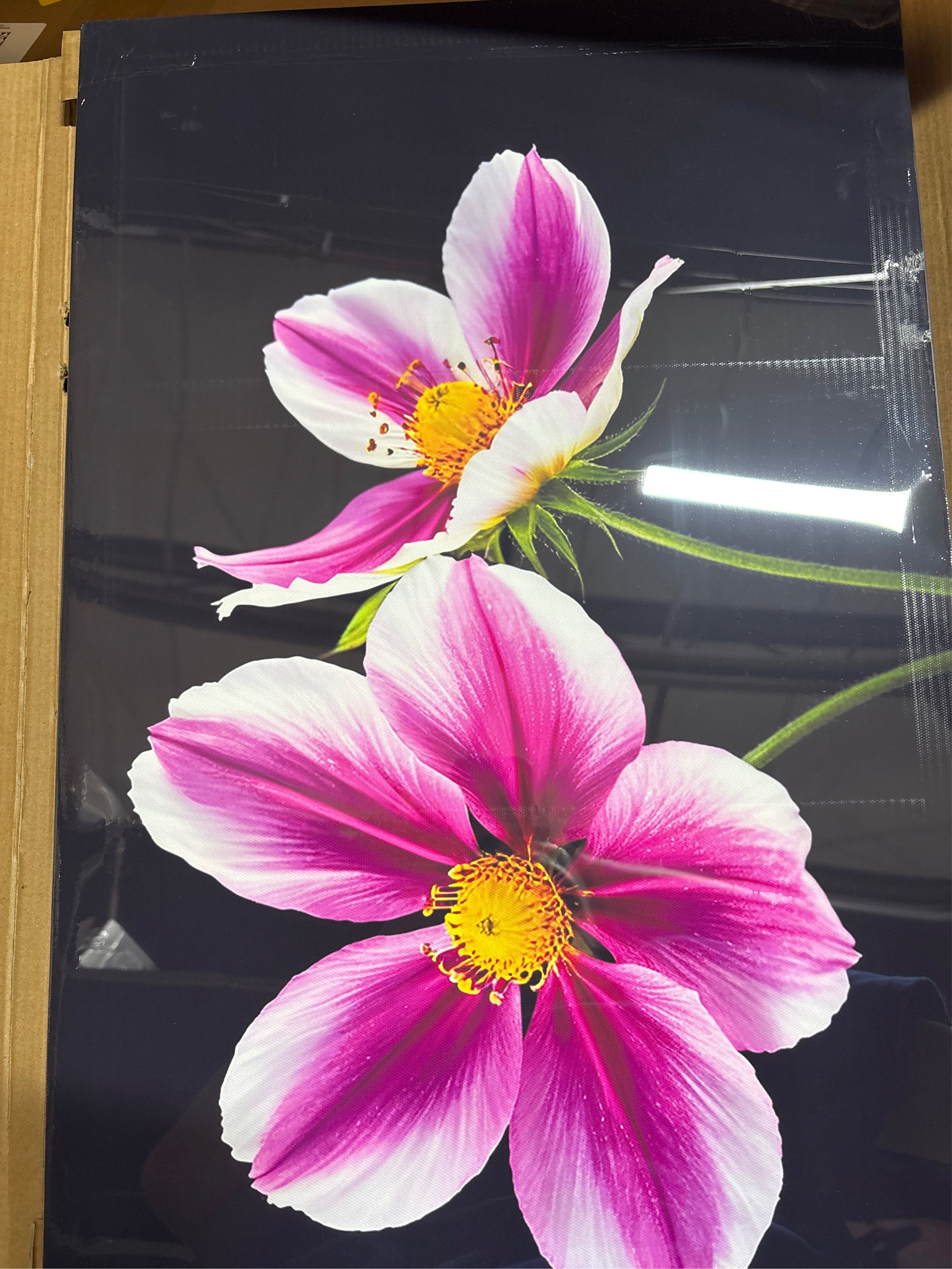 Floral Canvas Wall Art, Pink Flowers Abstract Artwork Painting Prints Modern Watercolor Pictures Framed for Girls Room Bedroom Bathroom Office Home Decor(16 * 24inch) - little scratch, see the picture