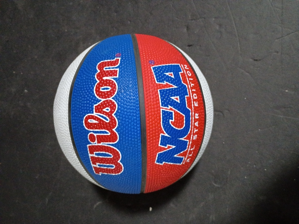 WILSON NCAA Mini Rubber Basketball