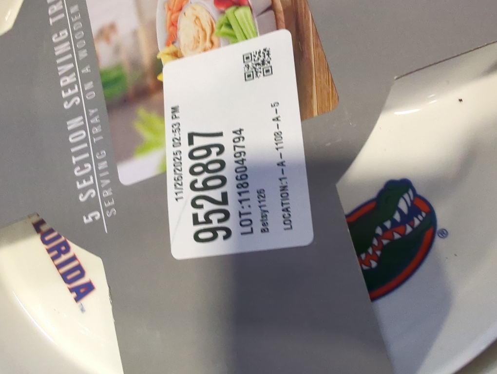 360° Rotatable Serving Tray and Platters, 11.5 Inch Party Divided Serving Set Removable Serving Dishes for Chips and Dip, Fruit, Veggies, Appetizer, Candy and Snacks