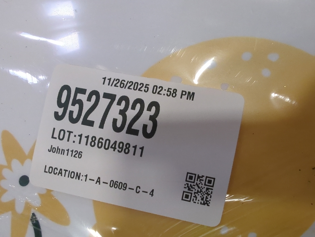 2 count size 16 lemon plates