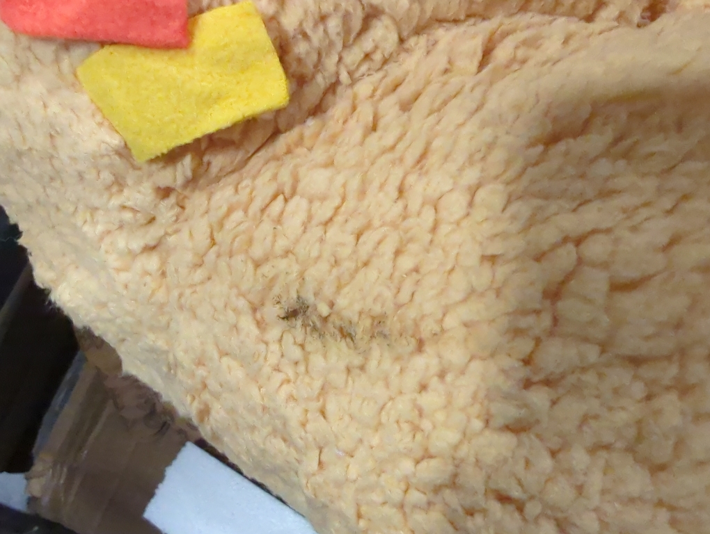 Delta Children Lion Cozee Buddy Chair, Orange