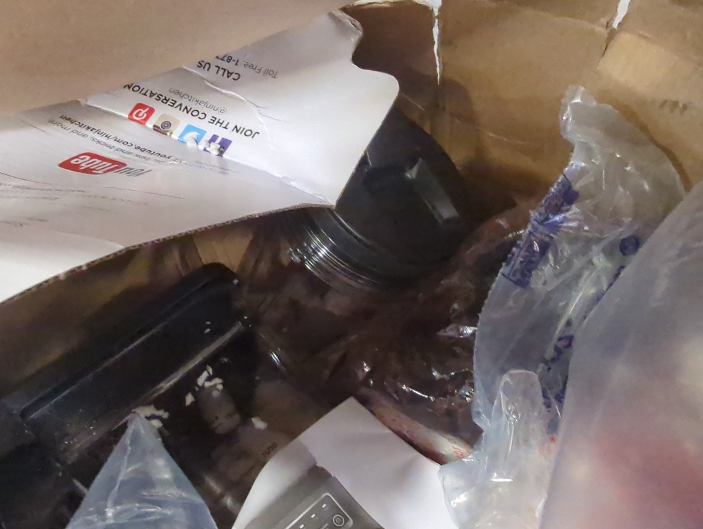 Ninja - Professional Plus Blender DUO with Auto-IQ - Black/Stainless Steel