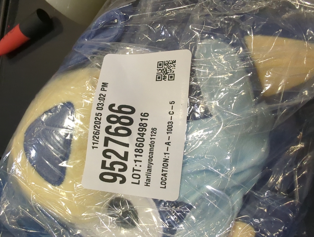 Fast Forward Crossbody Bag