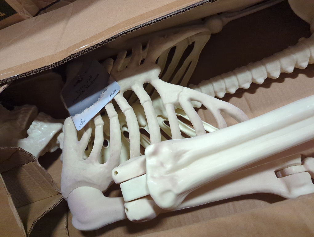 Crazy Bonez Pose-N-Stay Halloween Skeleton, 6 FT – Life-Size, Realistic, Fully Poseable Indoor & Outdoor Decoration, Durable Weather-Resistant Spooky Prop for Yard, Porch, Haunted House