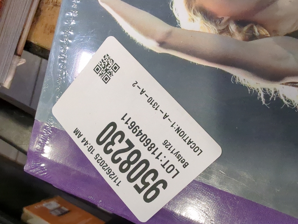 Taylor Swift - by  Terry Newman (Hardcover)