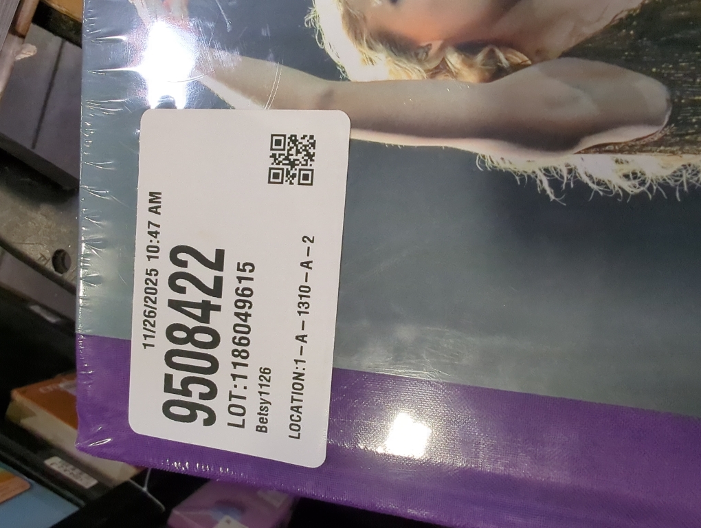 Taylor Swift - by  Terry Newman (Hardcover)