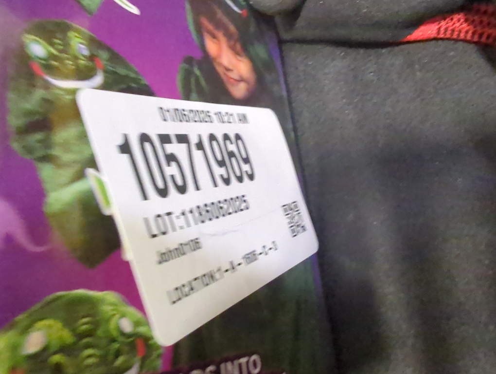 Bright Eyes Blanket LED Dinosaur  Master Case 2022