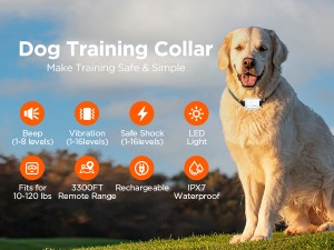 Dog training collar