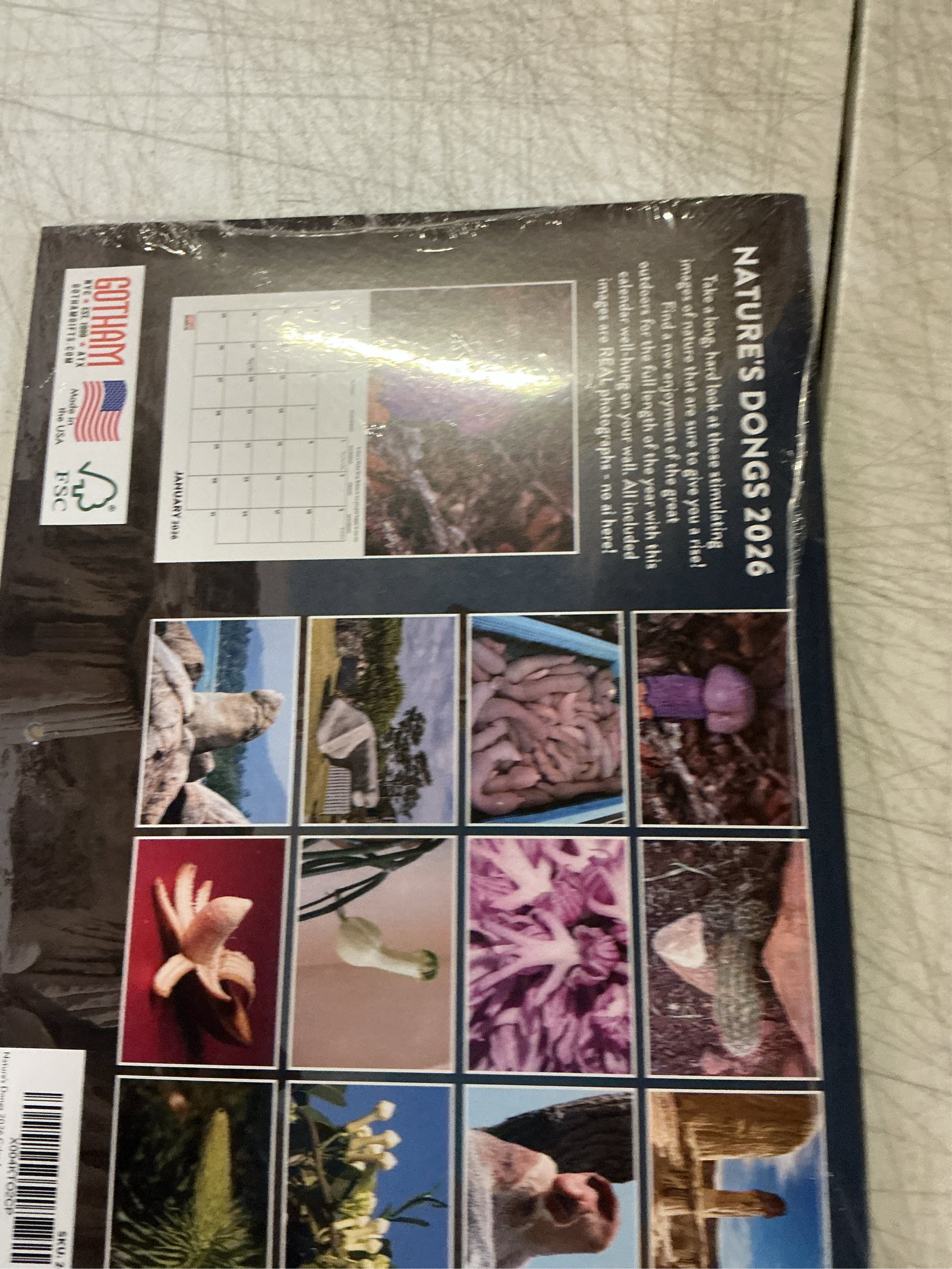 https://s3.us-central-1.wasabisys.com/manyfastscan-photos/4ebdb145-4f81-42ae-9eb4-e5add535061f.jpg