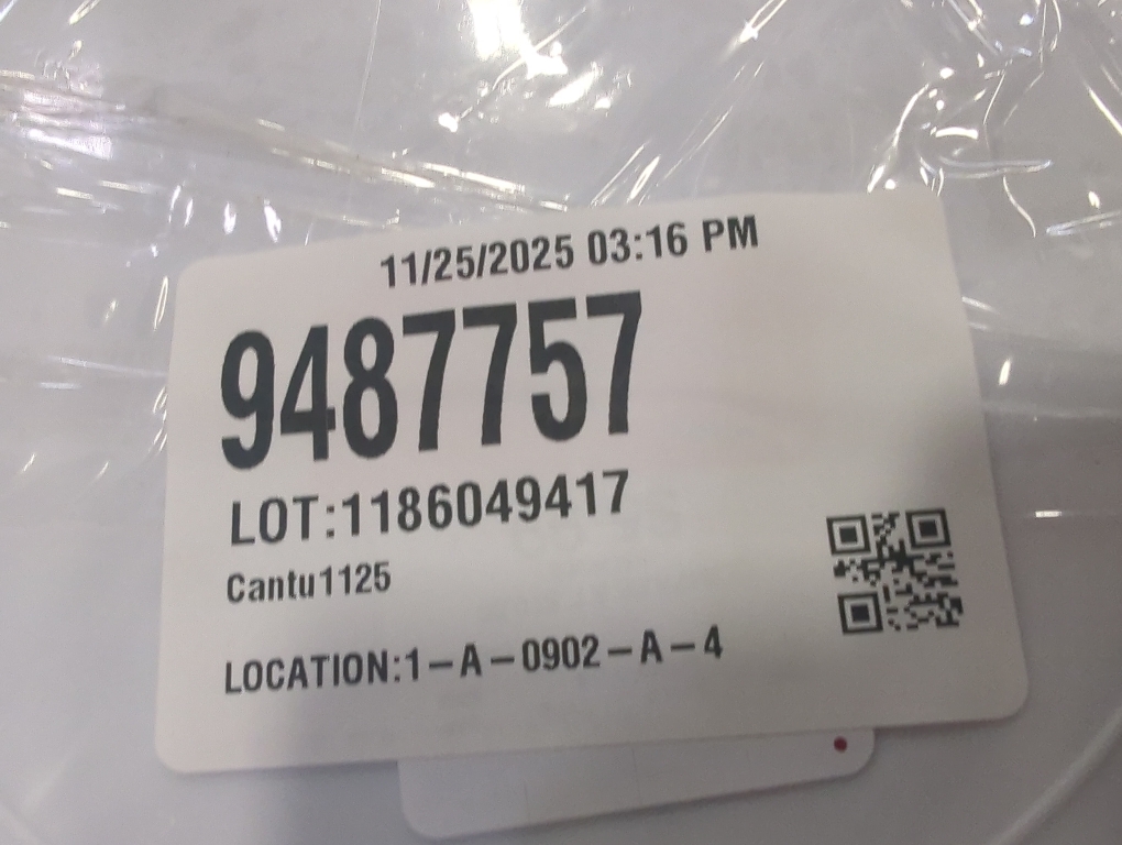 Artonomo Creative 24 Dinner Plates Sea Shell Pattern