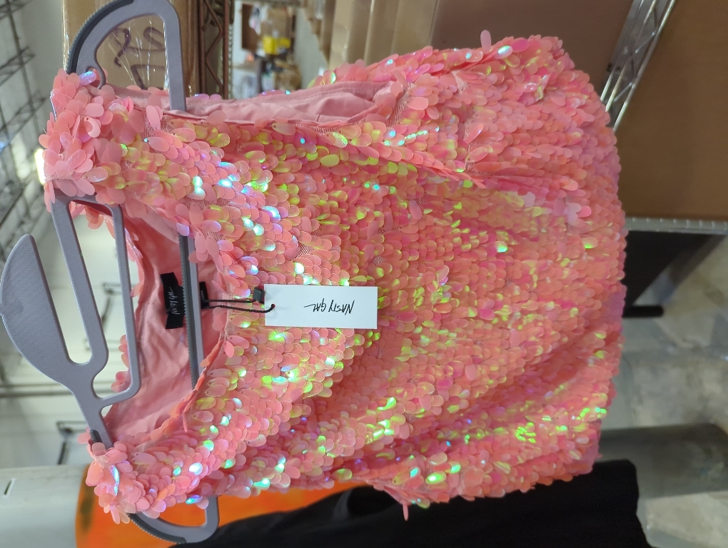 Size 6 Iridescent Disc Sequin Tank Crop Top