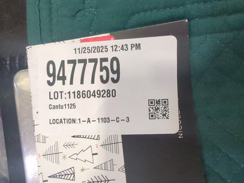 Nicole Miller Set Of 4 Green Placemats 13 x 19