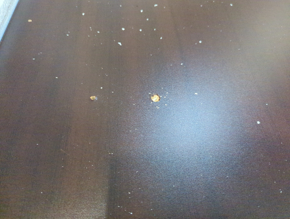 Lorell Multipurpose Brown Table Top