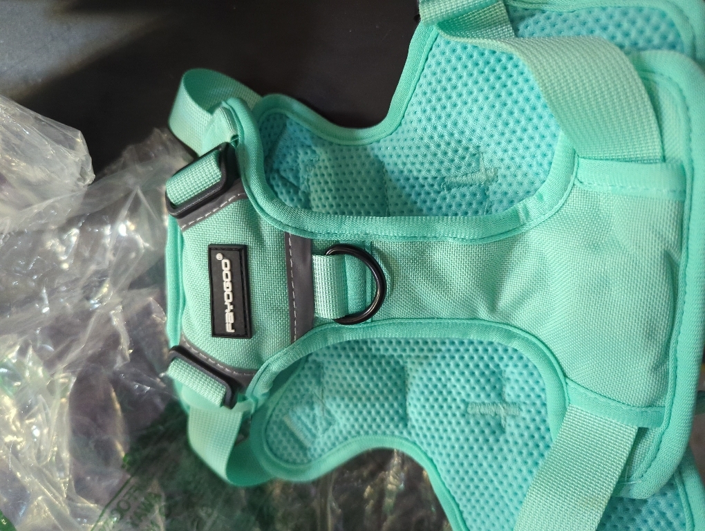 Size S Dog Harness with Leash Set, No Pull Adjustable Reflective Step-in Puppy Pet Vest Harnesses for Small Medium Large Dogs and Cats,Green