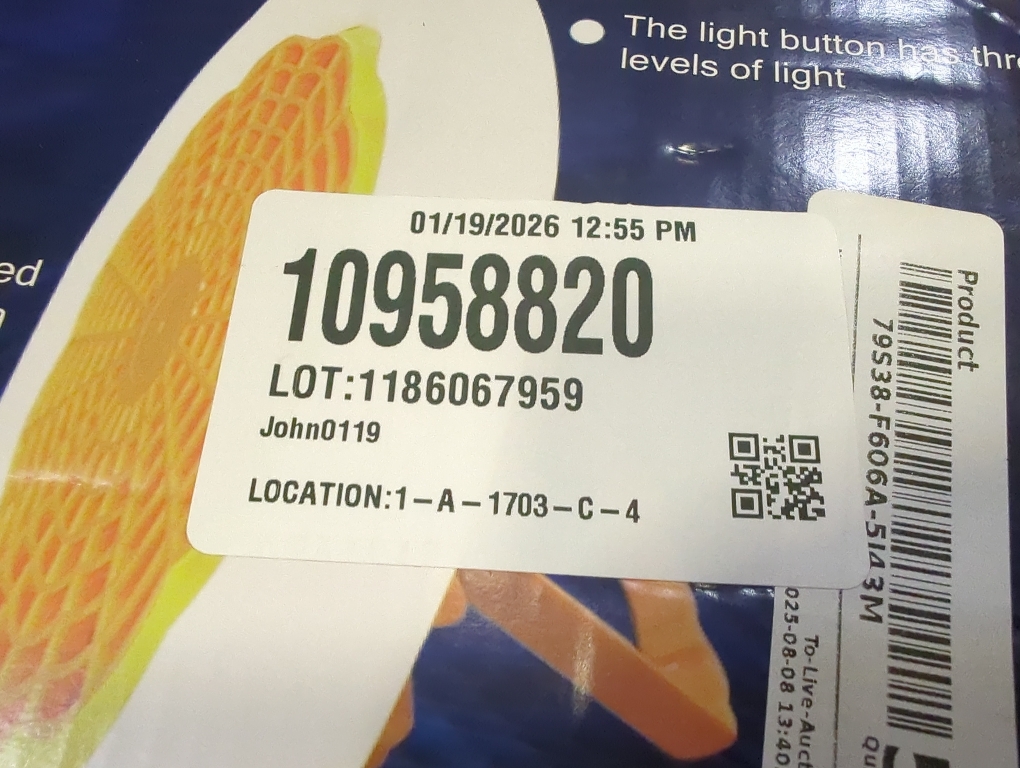 DGO Socket Fan Light with Remote, Enclosed Screw in Bladeless Mini Ceiling Fan 8.86 in Dimmable for Kitchen Bedroom Washroom Laundry Room Small Spaces Circulating Air (White)