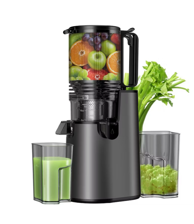 Cold Press Juicer Professional Slow Masticating Juicer for Whole Vegetables & Fruits with High Juice Yield Black
