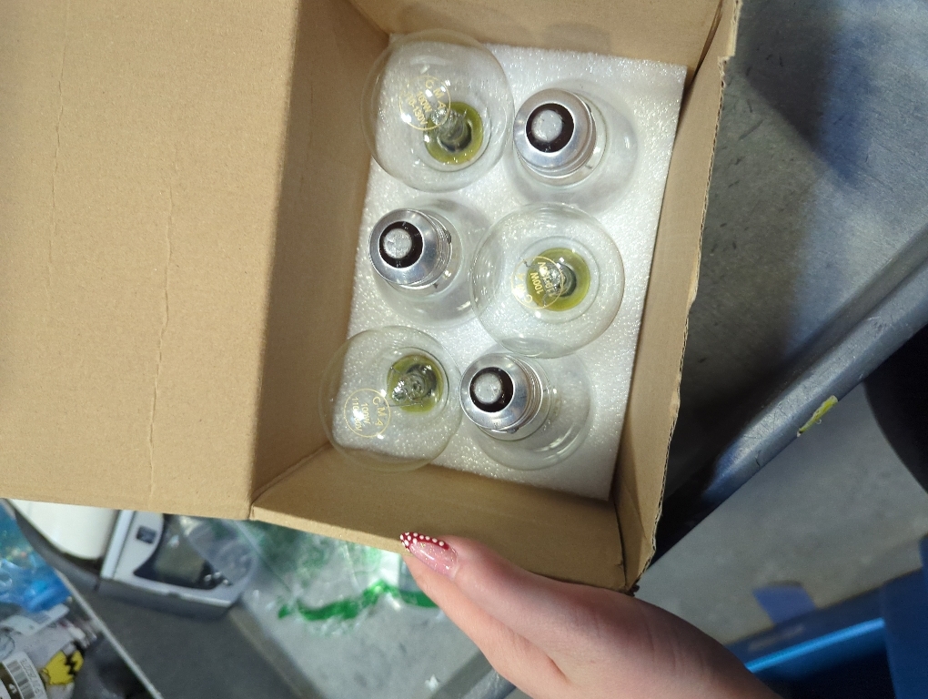 A19 Clear Incandescent Rough Service Light Bulb, 100 Watt Incandescent Light Bulbs, A19 100 WATT Bulbs ， 2700K Soft White, E26 Medium Base, 110-130V (6 Pack)