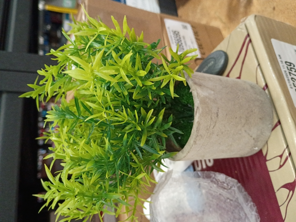 YZZY Artificial Potted Plants, 1Pcs Mini Fake Flower and Grass in Pot, Small Faux Plastic Greenery for House Decorations(Hedyotis #-520)