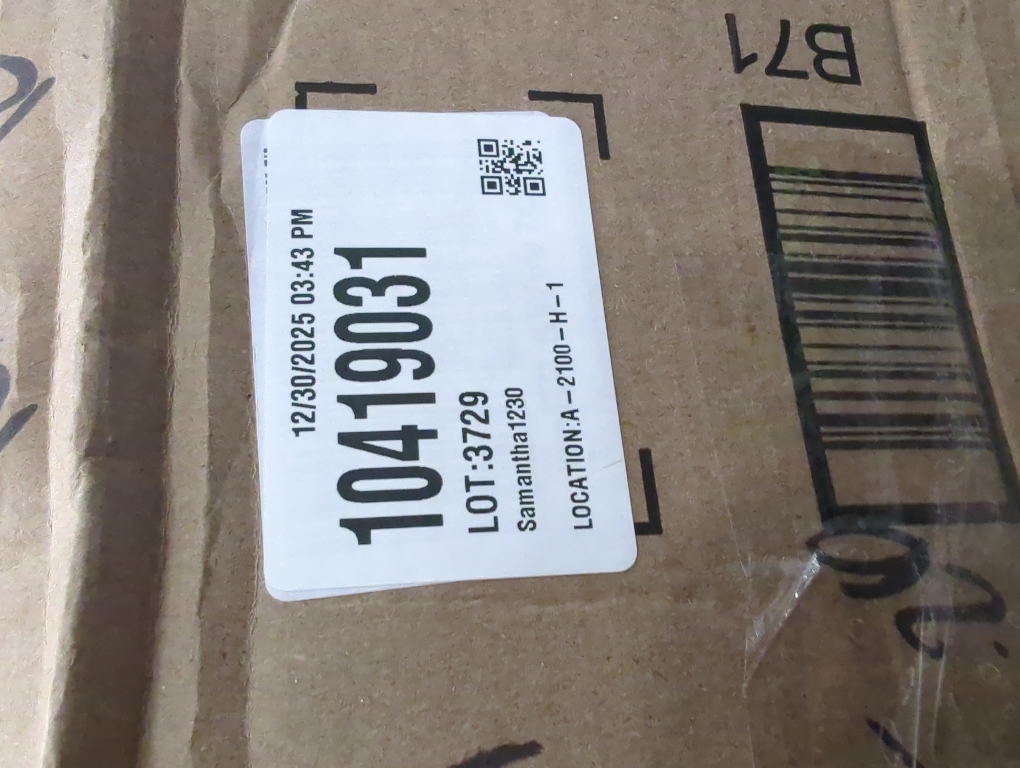 12 Pack Winter Artificial Snow Norfolk Pine Branches 36 Inch Faux Branches Floral Arrangements for Vase Realistic Greenery Pine Picks for DIY Crafts Christmas Garland Wreath Home Decoration