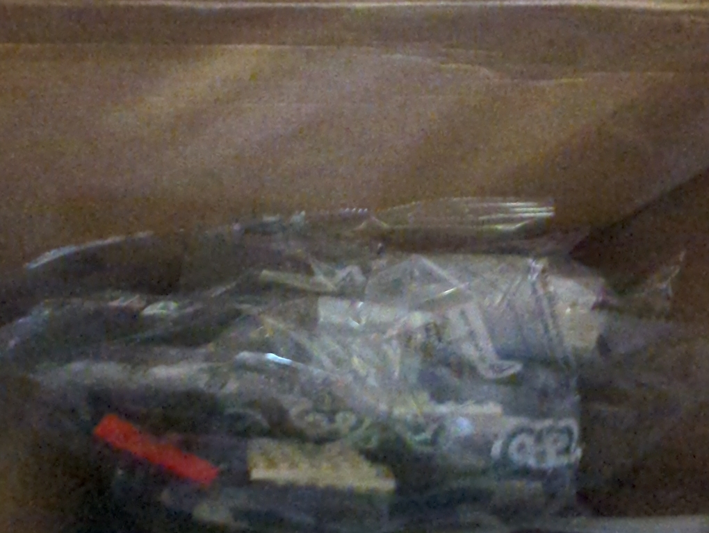 LEGO Tuxedo Cat Animal Lovers Home Decor 21349 Building Kit (1710 pieces)