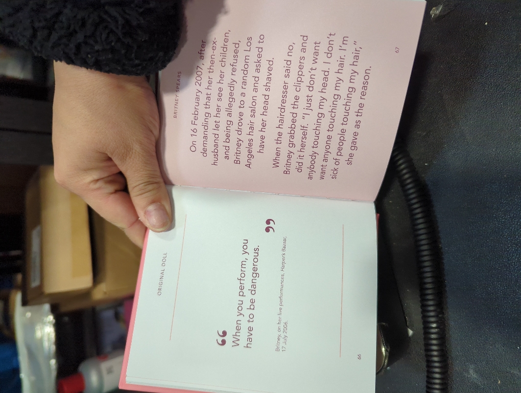 The Little Guide to Britney Spears: Stronger than Yesterday (Little Book)