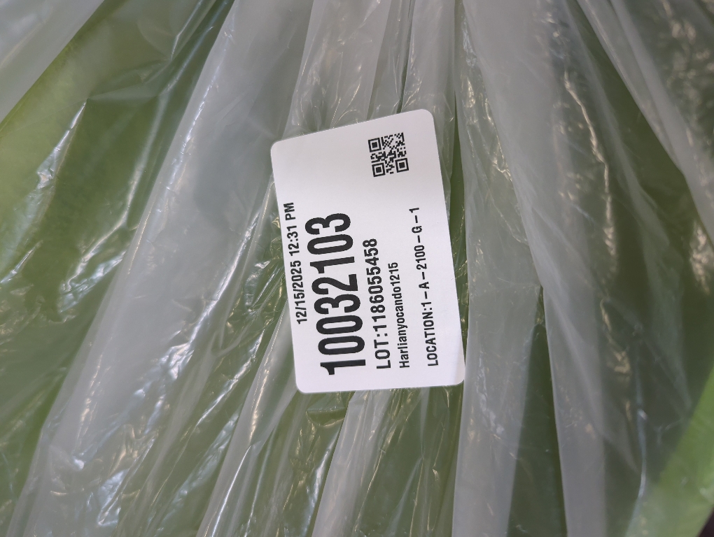 Large Cat Tunnel Bed for Indoor Cats with 3 Toys, Scratch Resistant Donut Cat Bed, Up to 30 Lbs (L 24x24x11, Green)