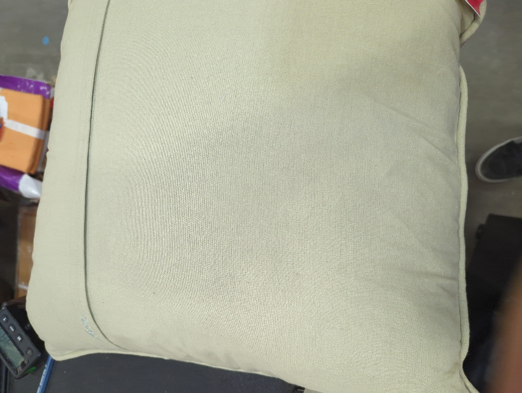 Ellen DeGeneres Loloi Beige Animal Pattern Pillow