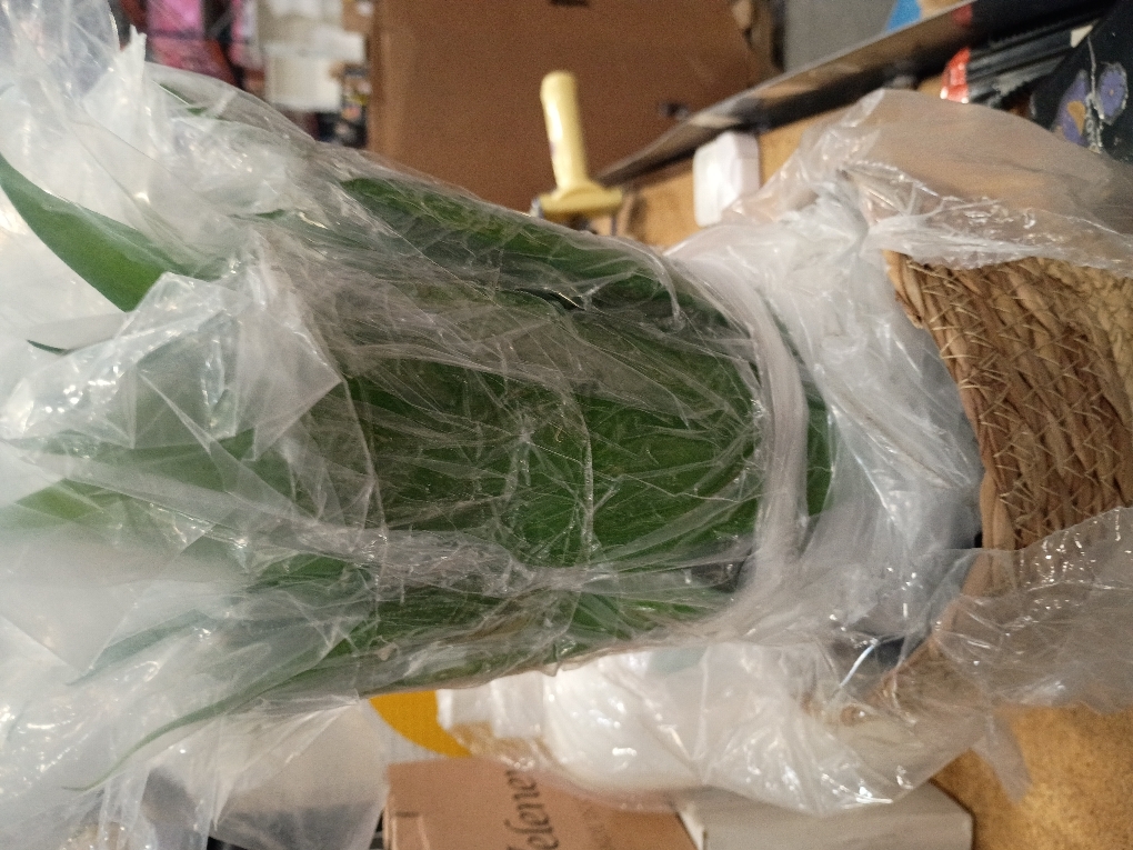 Velener Fake Agave with Rattan Pot, Artificial Plant Outdoor Agave - Fake Sucuulents Plants for Indoor and Outdoor Decor(15 Inch)