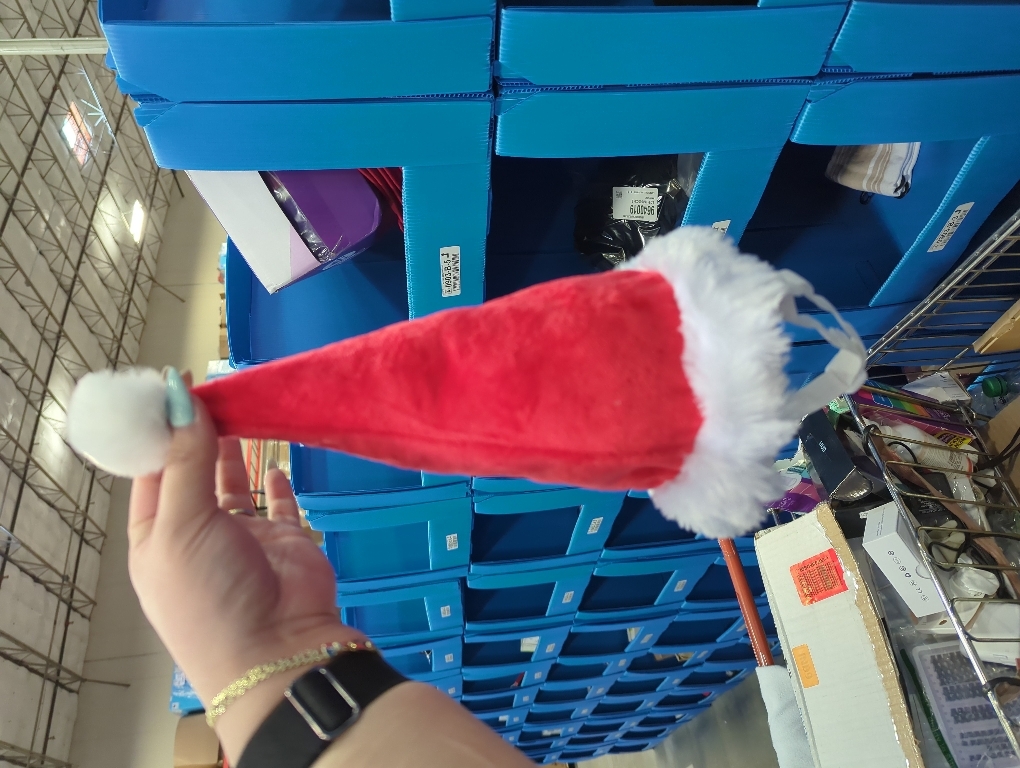 Adjustable 3D Christmas Santa Hat for Dogs Cats (Large)