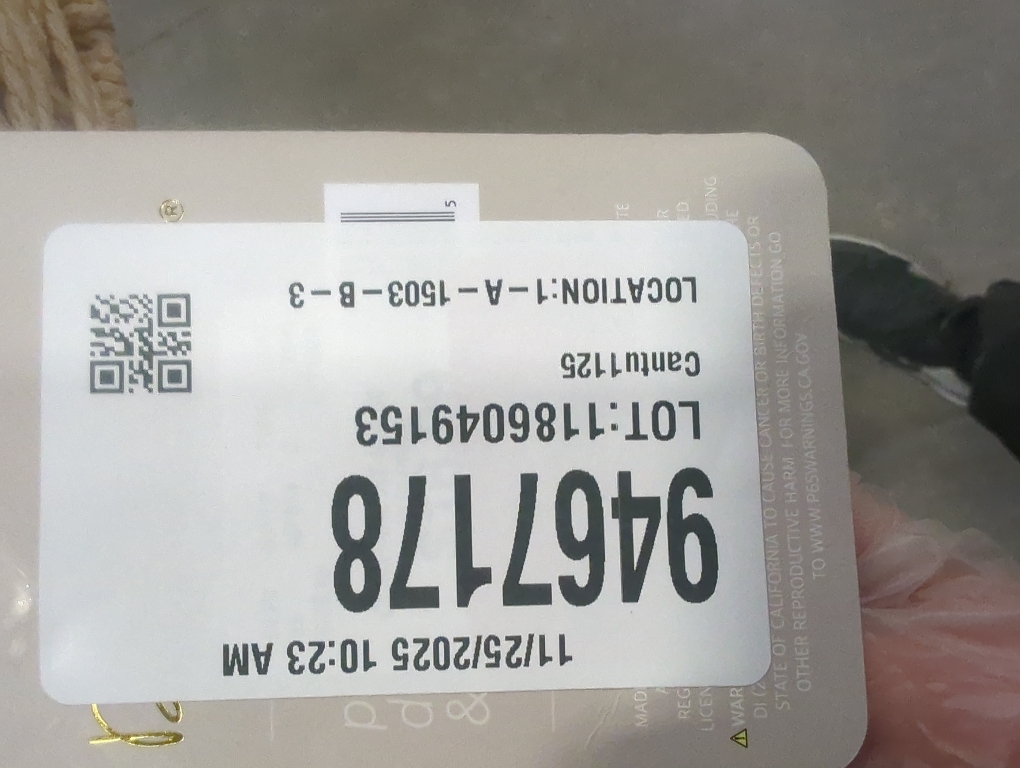 Dwell Studio Hand-woven Storage Bin