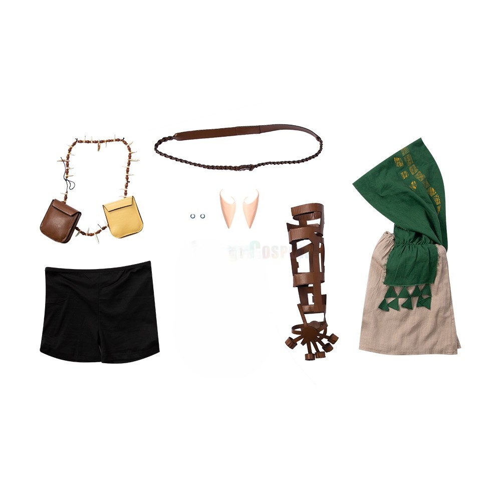 The Legend of Zelda: Breath of the Wild 2 Link Cosplay Costume