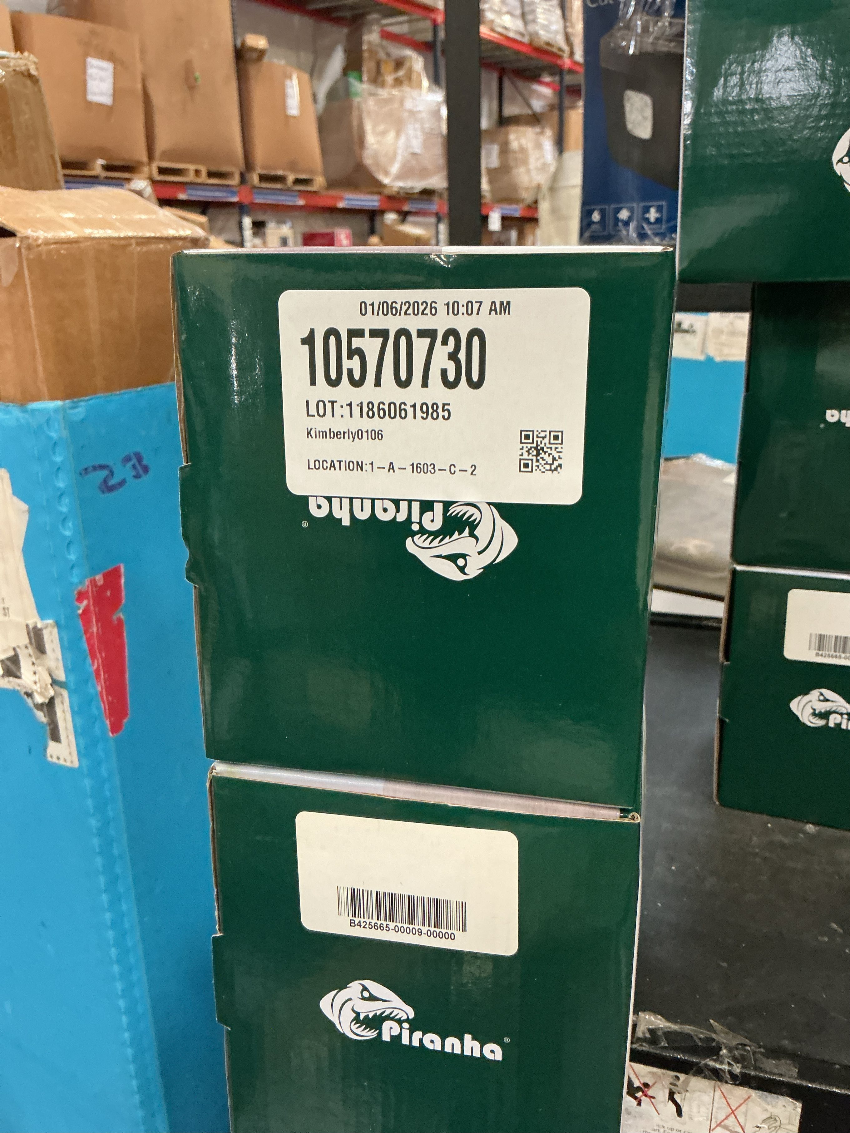 Collapsible Food Storage Containers (green)