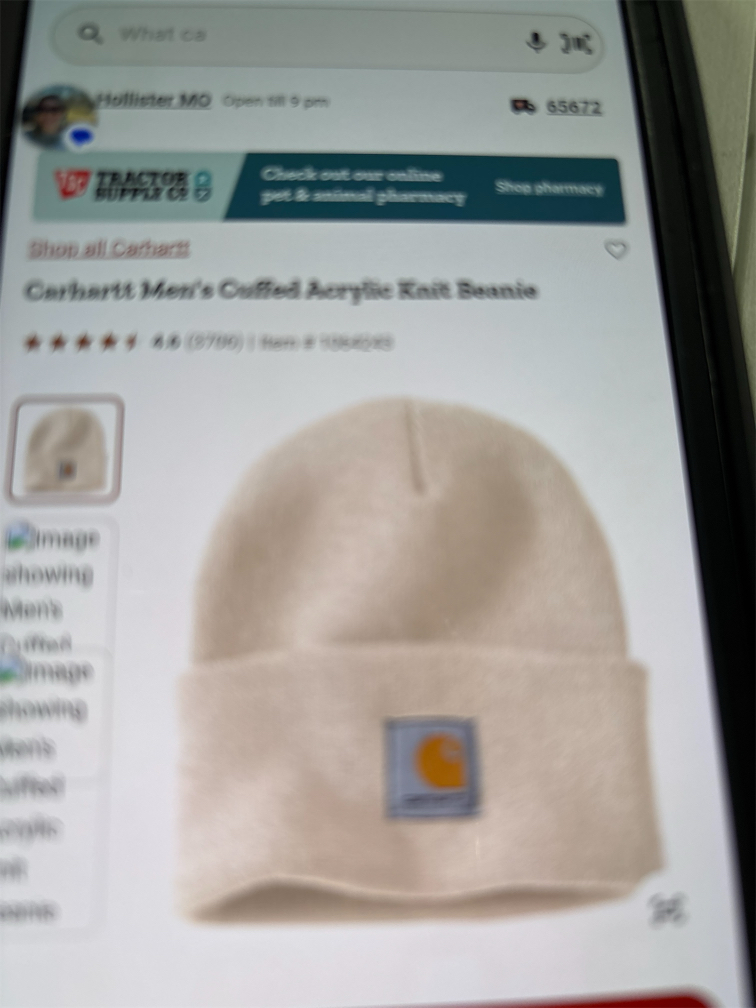 Carhart beanie