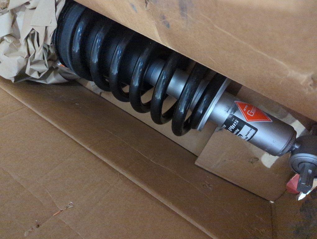 Suspension Strut and Coil Spring Assembly
