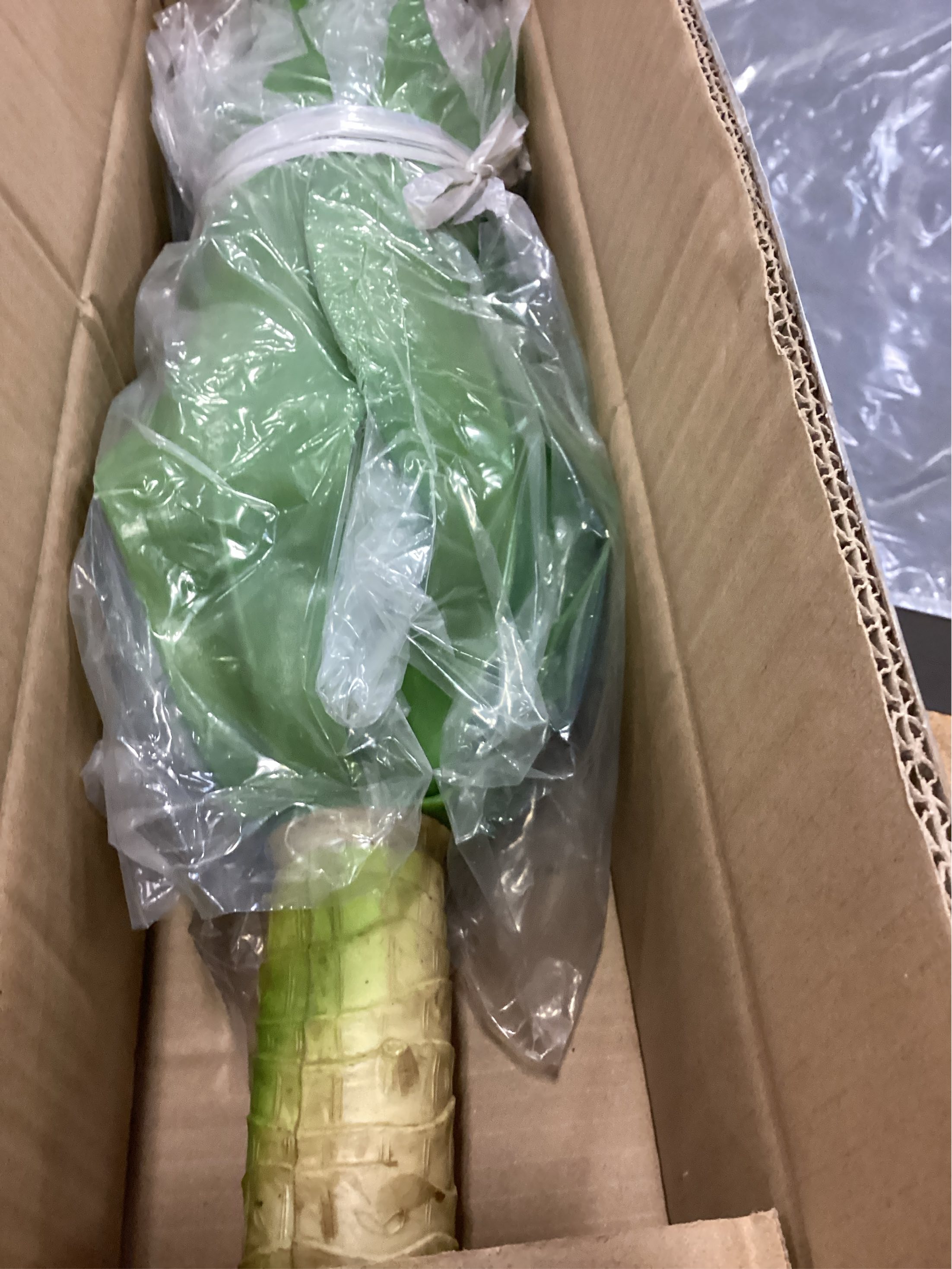 Velener Fake Agave Artificial Plants, Fake Succulents Plant for Room Decor, Unpotted Faux Agave Stems Plant for Outdoor/Indoor Decor, 22 inches