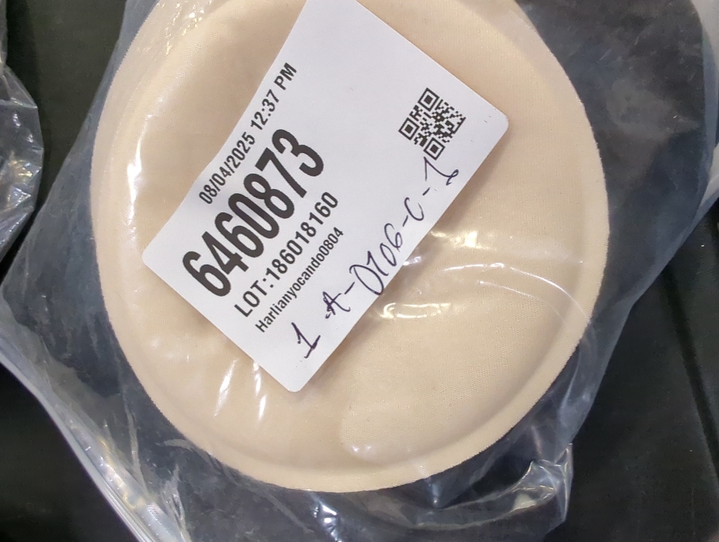 Size 4 WHITE WED Women's