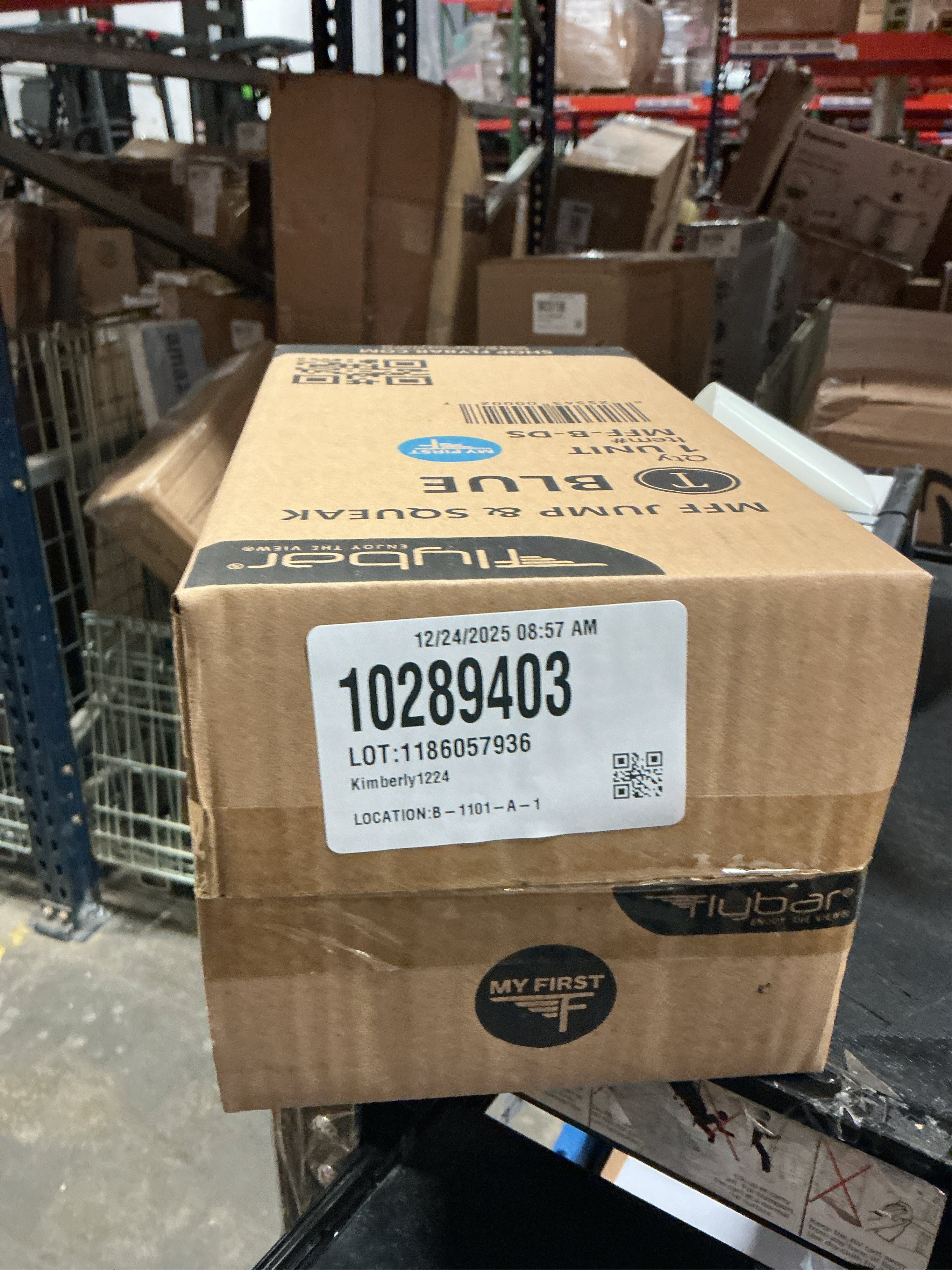 Flybar Durable Foam Bouncy Toy for Kids - Indoor/Outdoor Fun - Preschool Age 3  - Squeaky Sound - 6x5.5x11.5 Inches