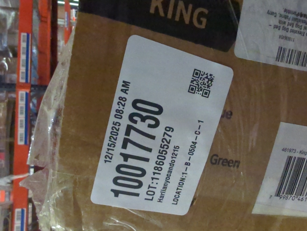 On the Go Elevated Pet Bed, King, Brunswick Green