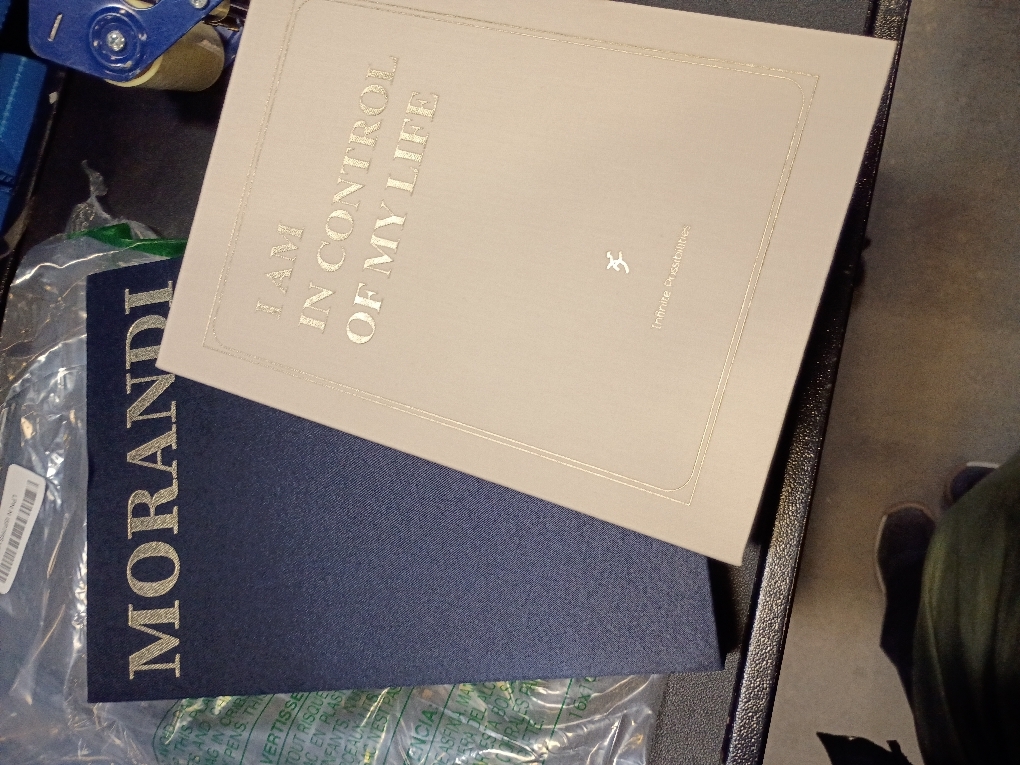 Decorative Books for Home Decor - Set of 2 Fake Books for Decoration, Faux Book Storage Box Enhance Your Coffee Table, Bookshelf & Mantel Shelf Decor, Linen Book Decor Aesthetic Set, Books Decor