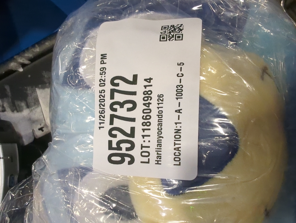 Fast Forward Crossbody Bag