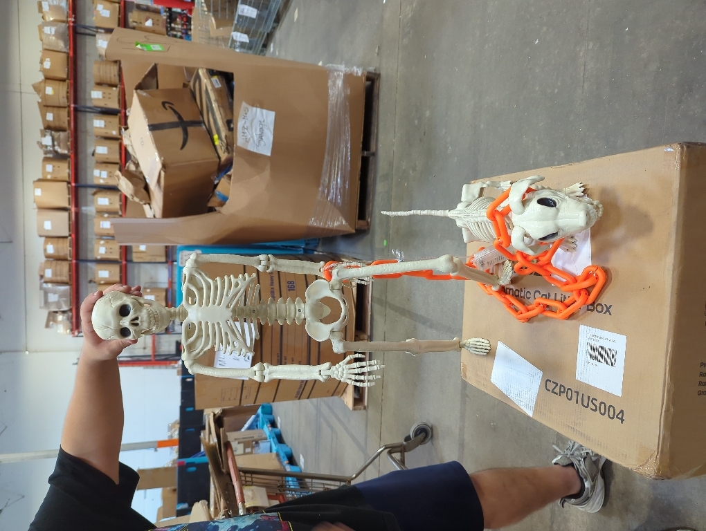 NEROSUN  Halloween Skeletons Decoration, Posable Life Full Size Skeleton with Dog Skeleton, Realistic Plastic Human Bones for Halloween Props Haunted House Graveyard Party Decor