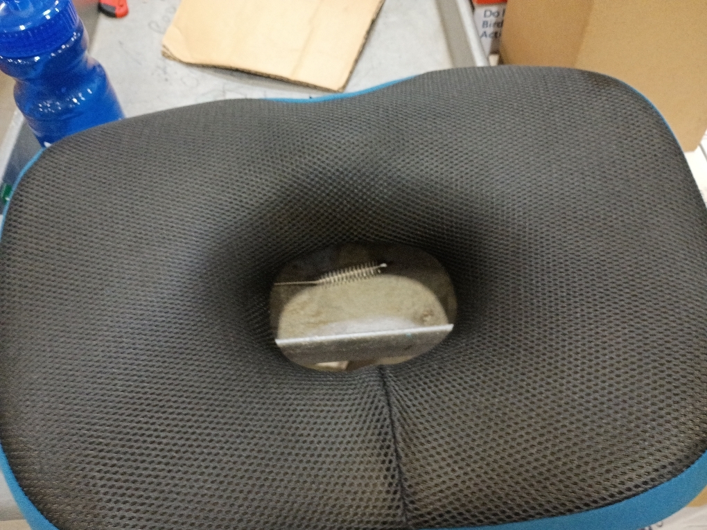 BlissTrends Donut Pillow Seat Cushion,Donut Chair Cushions for Postpartum Pregnancy & Hemorrhoids,Tailbone Pain Relief Cushion,Memory Foam Lifting Cushions for Office&Home Chairs (Black)