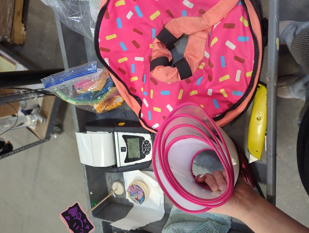 Supet Raised Inflatable Dog Cone Collar to Stop Licking, Soft Dog Cone Alternative After Surgery, Doggie Neck Donut Collar for Small Medium Large Dogs