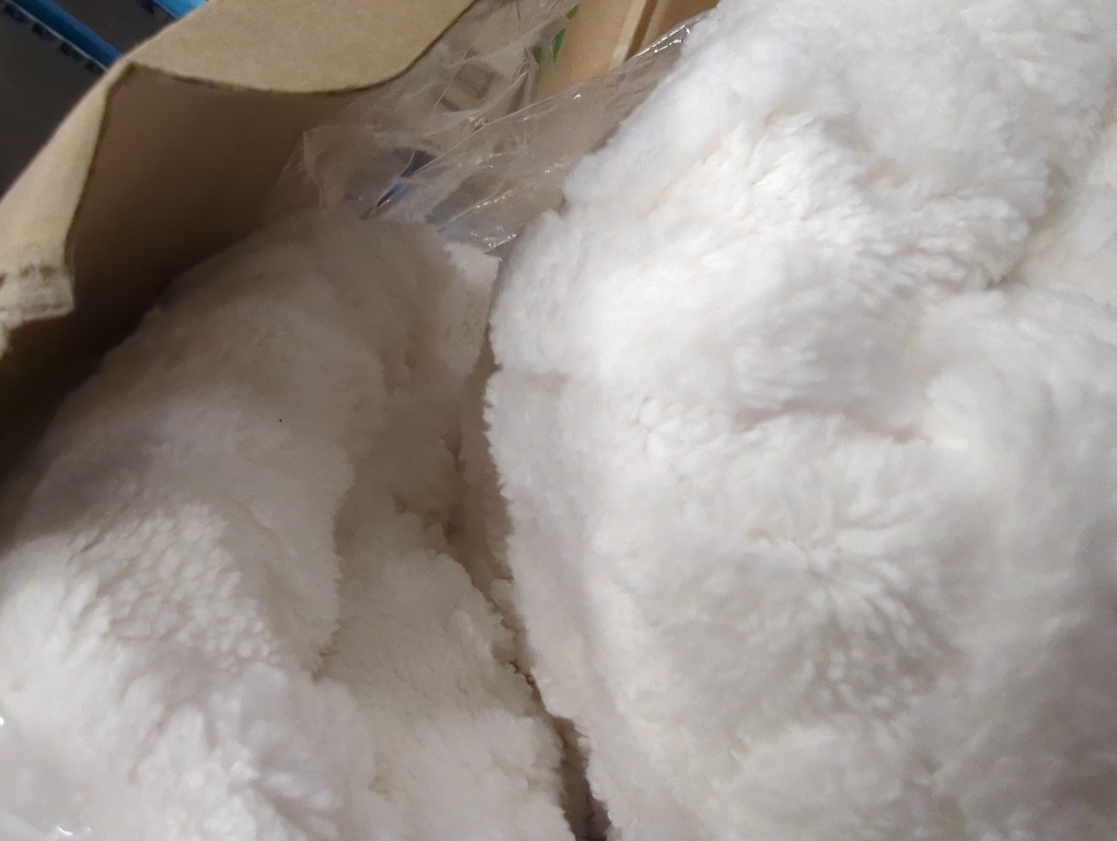 CAROMIO Electric Blanket Queen Size Dual Control - Thick Tufted Sherpa Heated Blanket Queen with 10 Heating Levels and 10 Time Settings, ETL Certified Fast Heating Blanket Queen Size 84×90, White