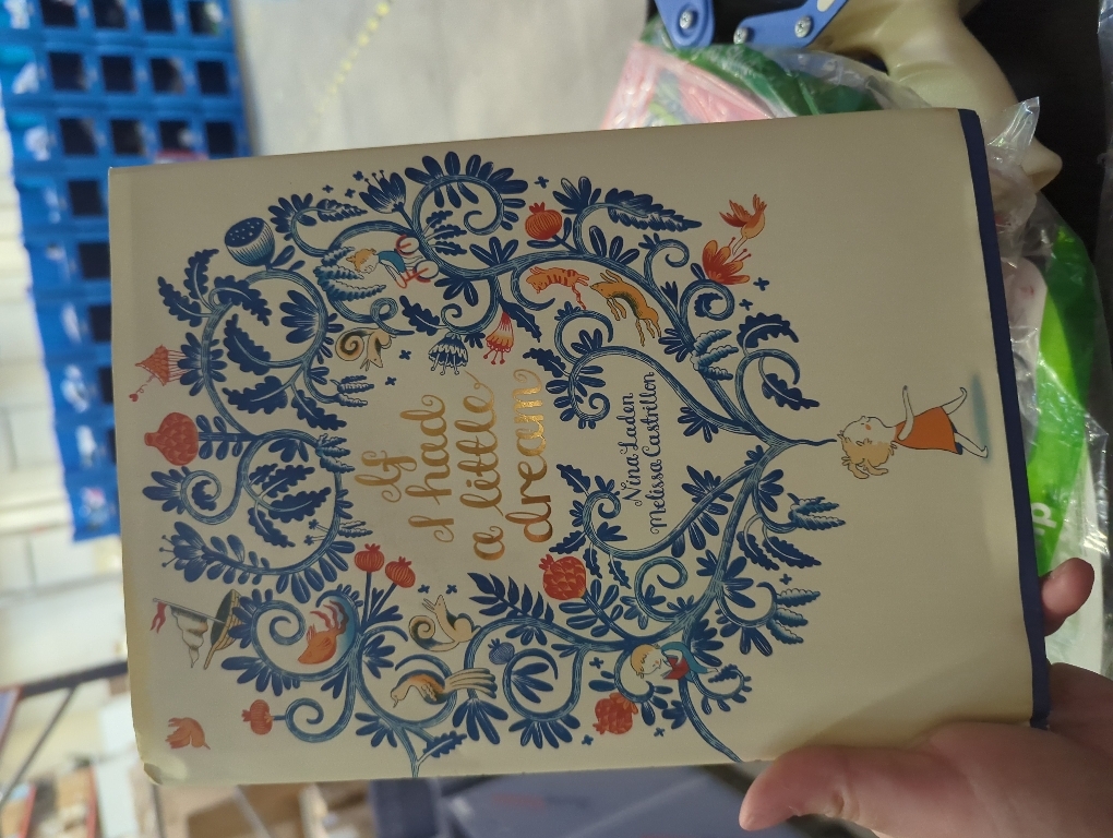 If I Had a Little Dream (Hardcover)